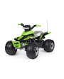 Quad-eléctrico-Corral-T-Rex-330W-verde-IGOR0100-PEG-PEREGO-AGRIDIVER