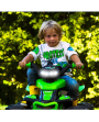 Quad-eléctrico-Corral-T-Rex-330W-verde-IGOR0100-PEG-PEREGO-AGRIDIVER