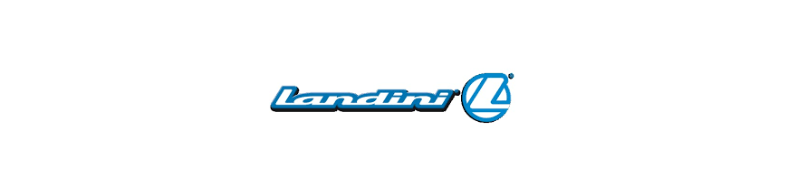 Landini